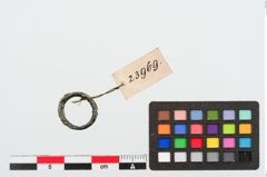 Foto von Bronzering (NHMW-PRAE-023969)